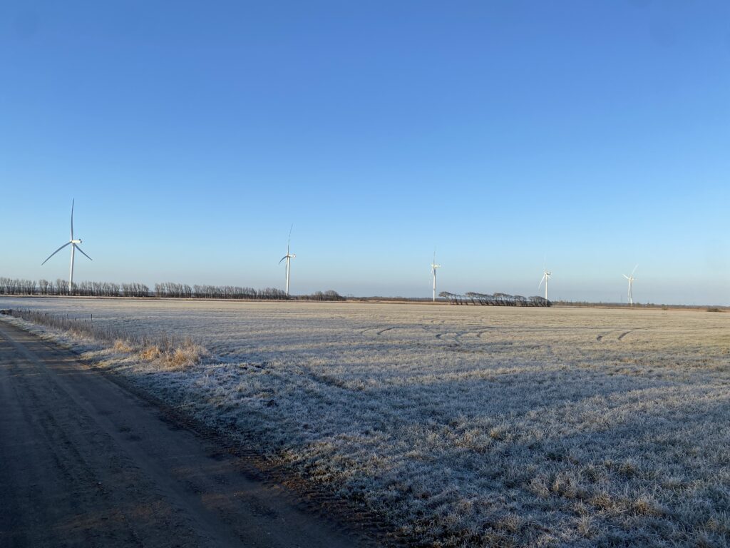 Foto vom Windpark Sønder Bork